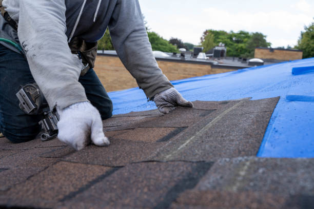 Quick and Trustworthy Emergency Roof Repair Services in Duluth, MN